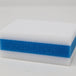 Magic Erasers (10 Pack) - Custom Dealer Solutions-MG005